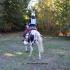Oak Grove Hunter Pace